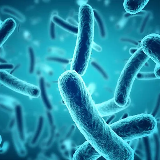 clostridum diffcile colitis